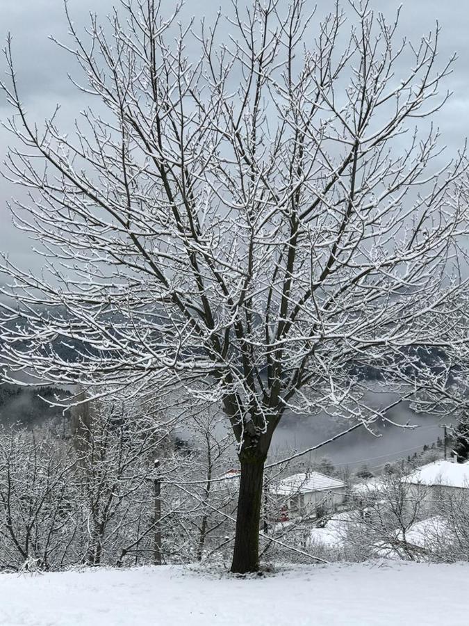 Mikro Katafygio Stavli Buitenkant foto
