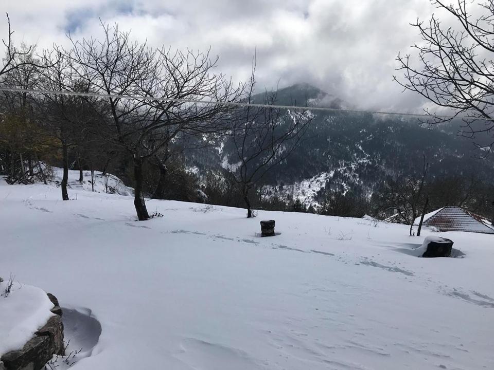 Mikro Katafygio Stavli Buitenkant foto